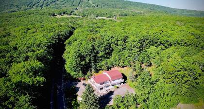 Guest Favorite Garuda Apartment 8