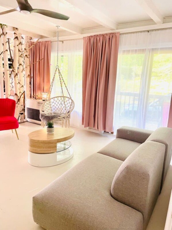 Téléviseur, foyer, livres