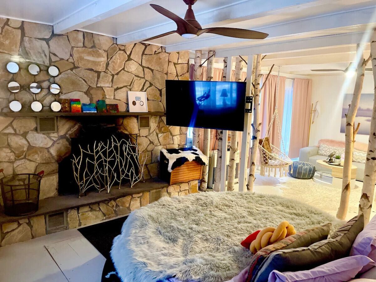 TV, fireplace, books