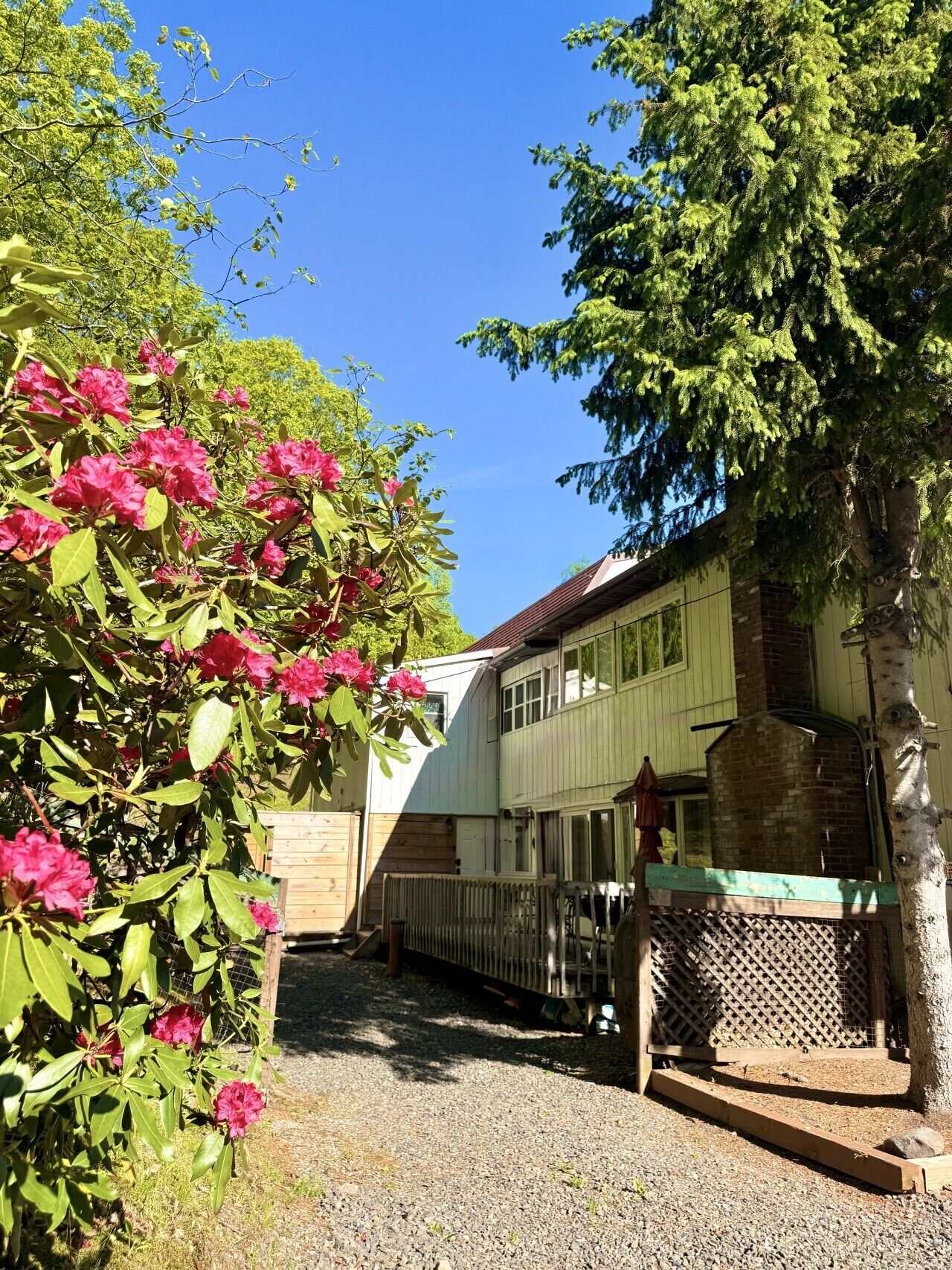 Un bâtiment à deux étages avec une allée en gravier, une clôture en bois et un arbre aux fleurs roses.