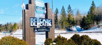 Catskill Cabin Bird of Paradise 7