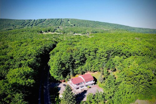 Catskill Cabin Bird of Paradise 7