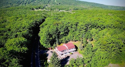 Catskill Cabin Bird of Paradise 7