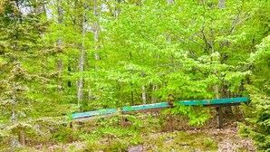 Ein bewaldetes Gebiet mit einer Holzbrücke.