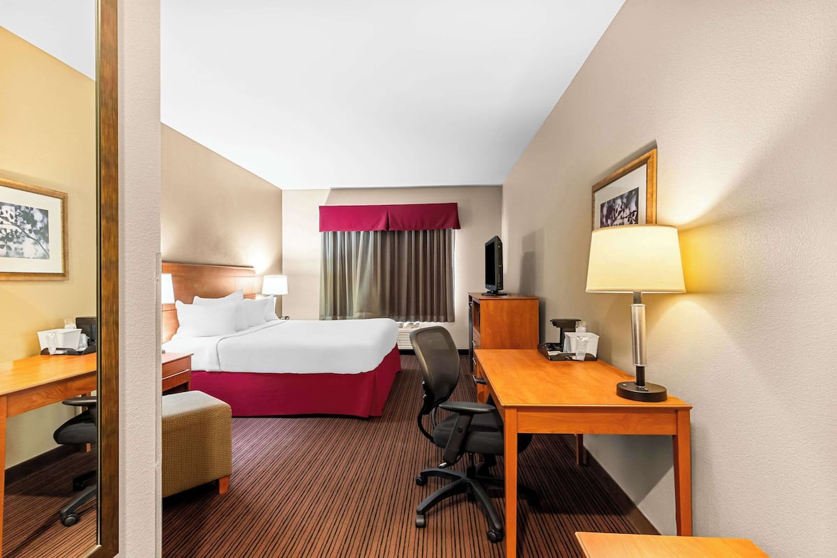 Quarto de hotel com cama, escrivaninha, cadeira, abajur e televisão.