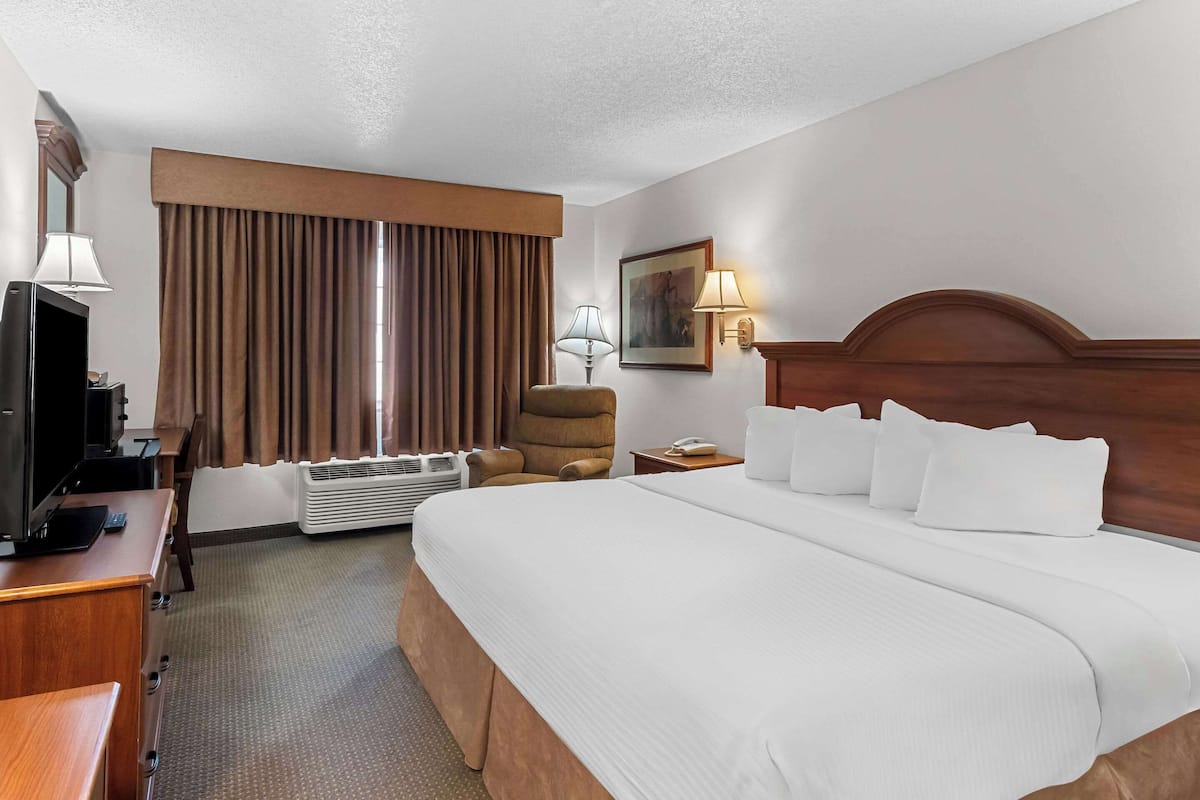 Quarto de hotel com uma cama grande, uma escrivaninha com televisão, uma cadeira, um abajur e um quadro na parede.
