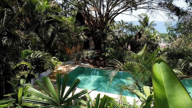 Una piscina rodeada de exuberante follaje tropical, con vista al océano al fondo.