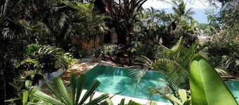 An exclusive jungle hideaway just steps from Plaza and the beach
