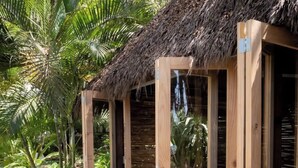 Estructura de madera con techo de paja, rodeada de exuberante vegetación.