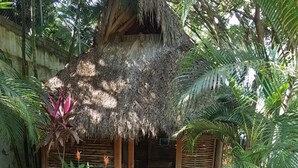 Una cabaña con techo de paja, con una cama y un televisor, rodeada de exuberante follaje y un camino de adoquinado.