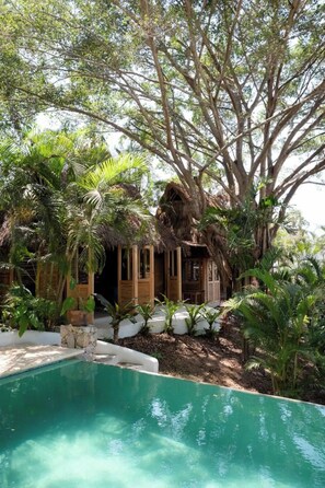 Pool - An exclusive jungle hideaway just steps from Plaza and the beach (Sayulita)