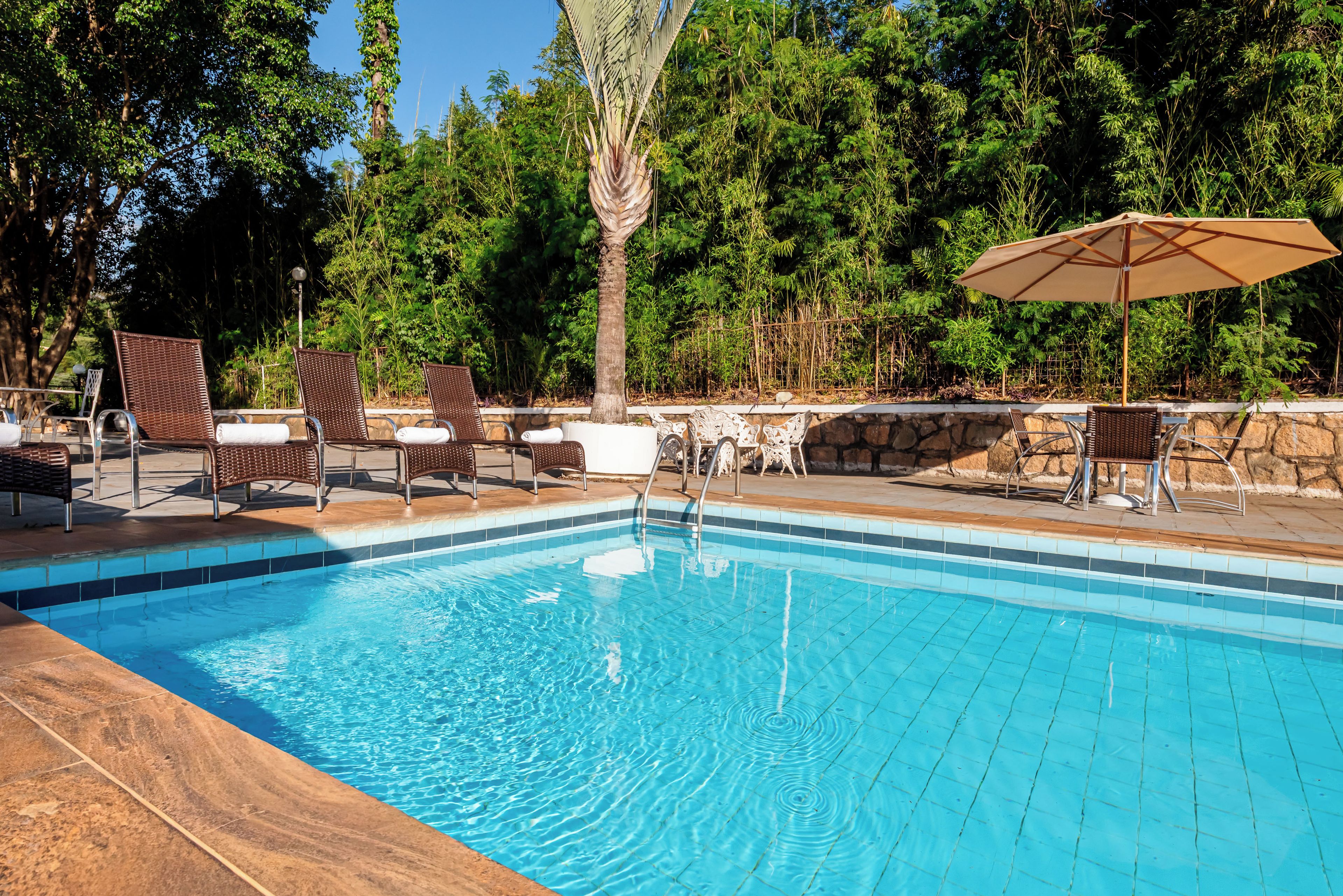 A swimming pool with lounge chairs and umbrellas, surrounded by greenery.