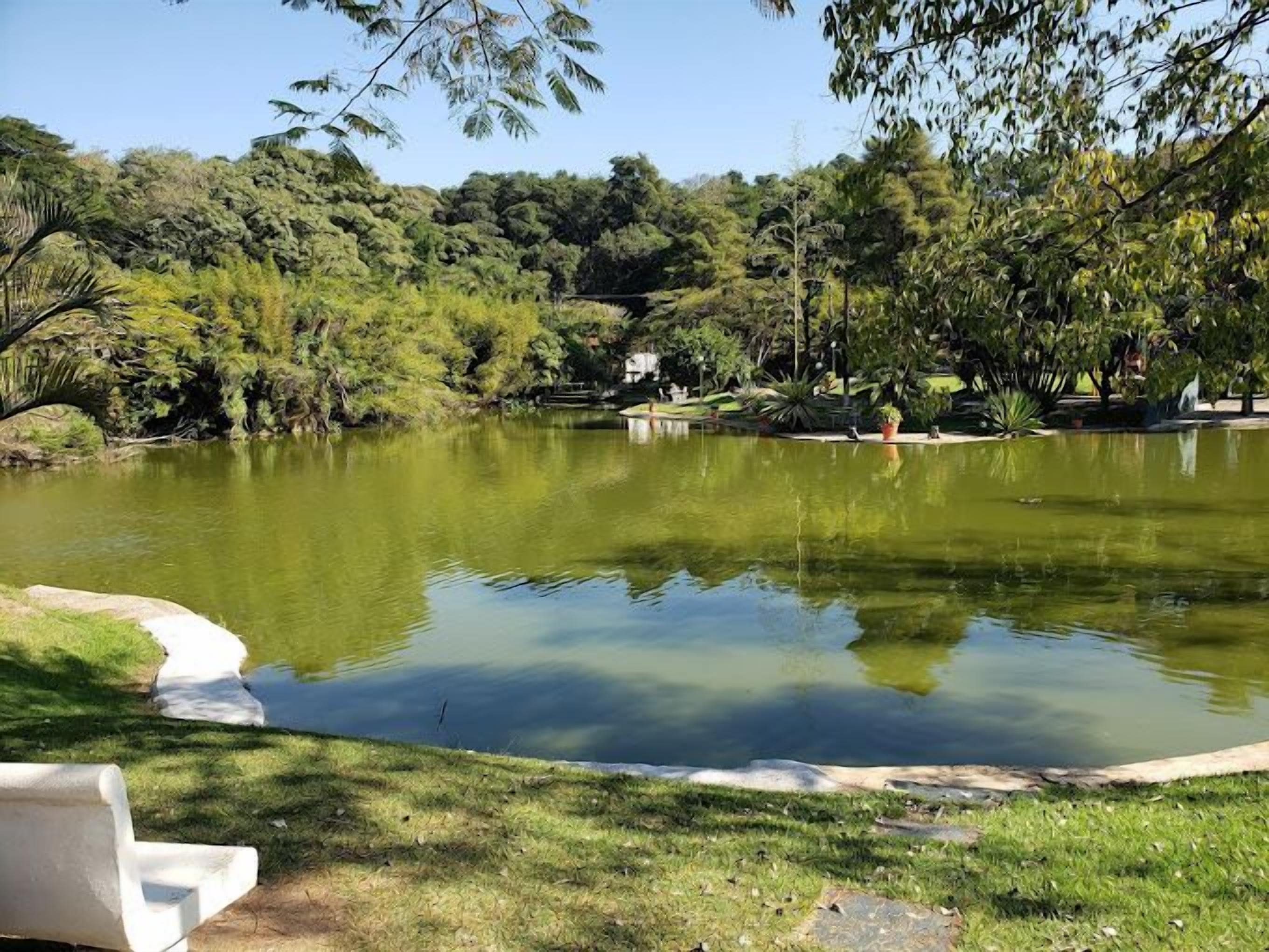 A serene pond surrounded by lush greenery and a stone bridge.