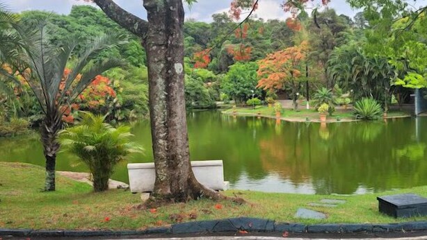 Un parque tranquilo con un estanque, abundante vegetación y un banco.