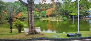 Un parc paisible avec un étang, une végétation luxuriante et un banc.