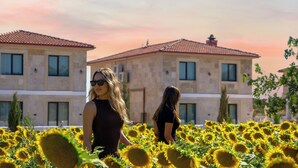 A building with a tiled roof and multiple windows, surrounded by a field of sunflowers. - The Kirte Hotel (Eceabat)