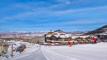 Sneeuw- en skisporten