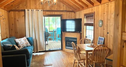 Lakefront tiny cabin amazing view on Lake Marion! Pet friendly & sleeps 6