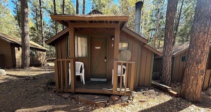 Cabin #4 - Studio with fireplace
