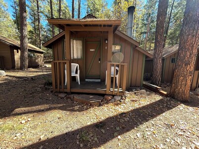 Cabin #4 - Studio with fireplace