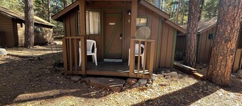 Cabin #4 - Studio with fireplace