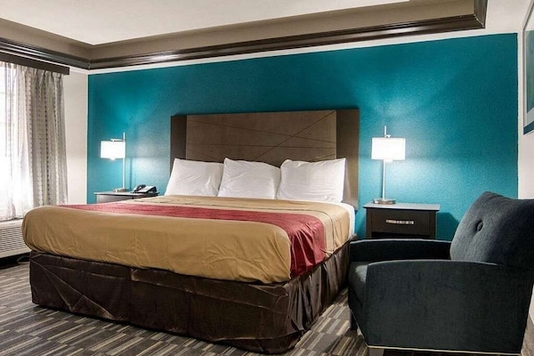 Single Room, 1 King Bed, Non Smoking, Microwave