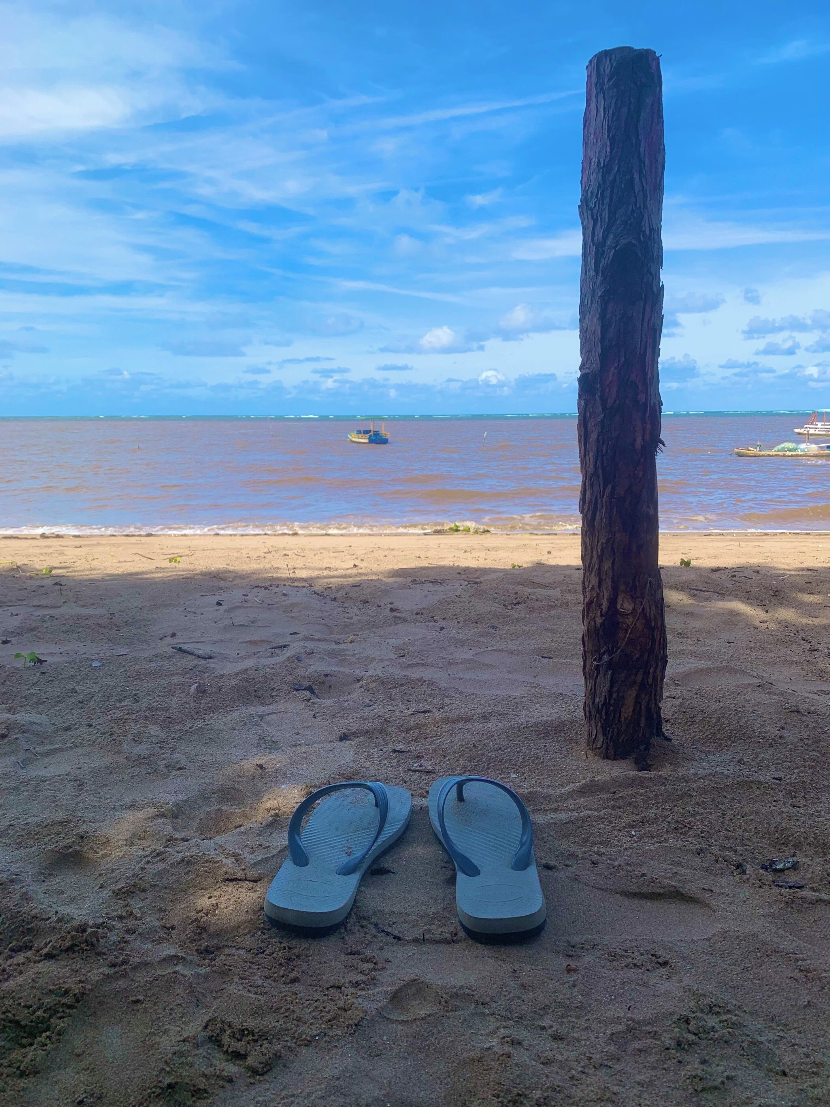 En la playa, arena blanca, 8 bares en la playa
