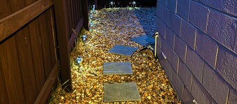 Cottage  in West Palm Beach with Wi-Fi, AC, workspace, completely private yard