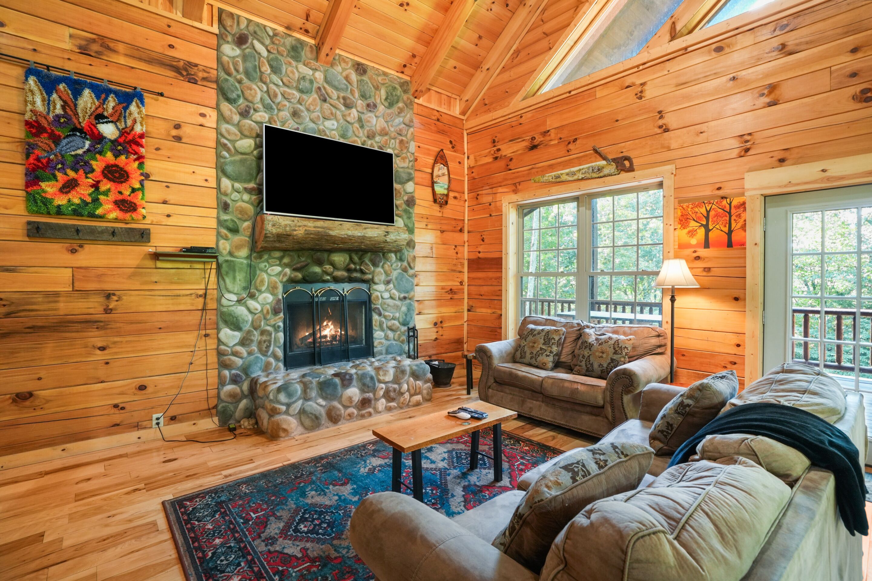 TV, fireplace, DVD player, books