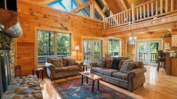 TV, fireplace, DVD player, books