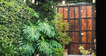 Charming Garden | Antigua Center | Volcano Views