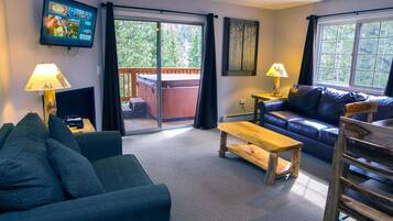 TV, fireplace, DVD player, video library