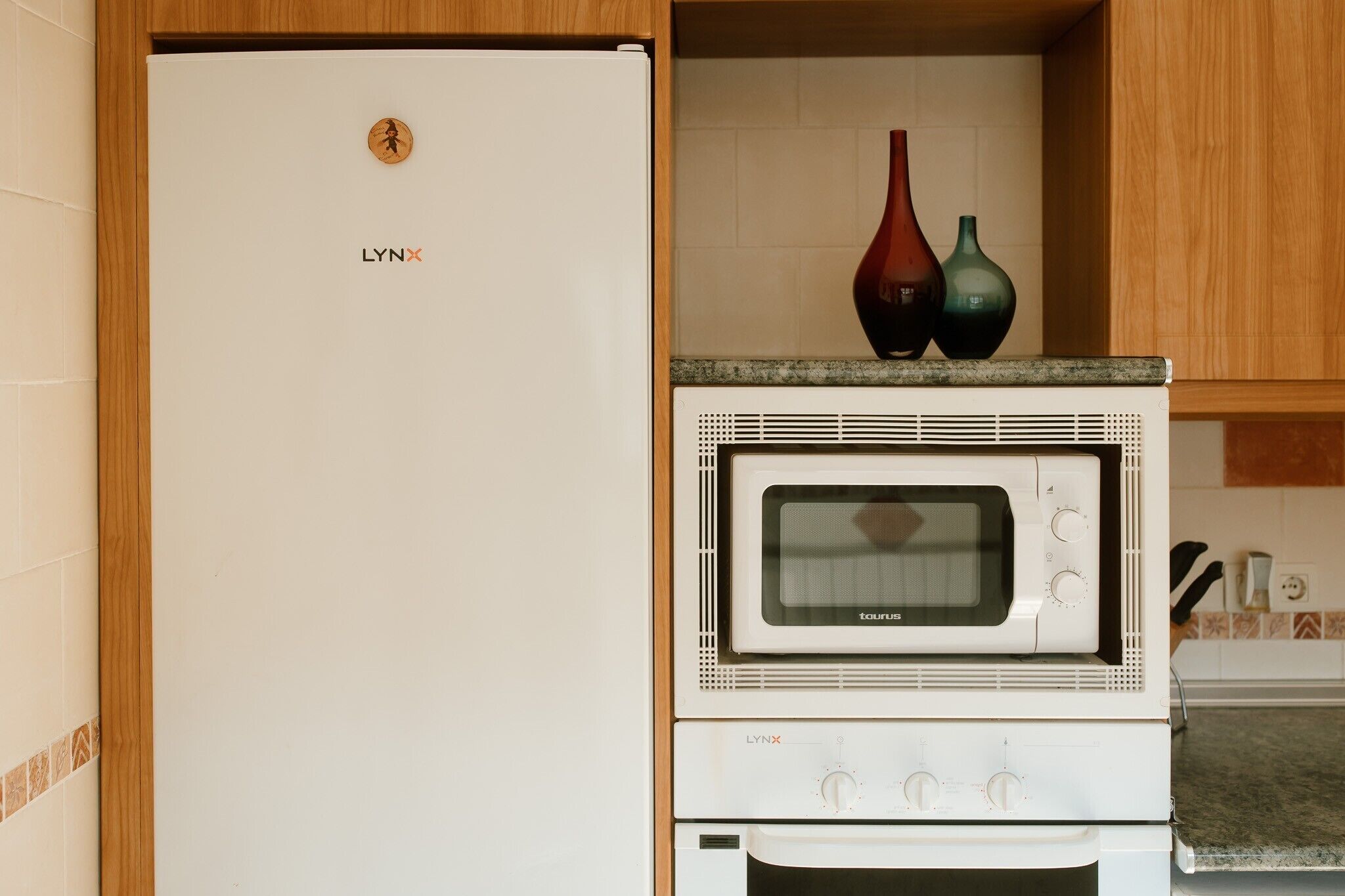 Cozinha com geladeira branca, micro-ondas e forno. Há dois vasos sobre a bancada.