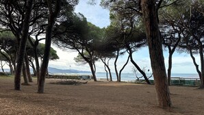 Un parc avec des arbres, une pelouse et une vue sur la mer.