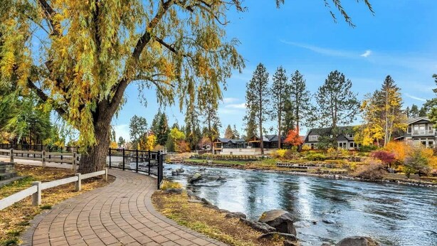 A paved walkway beside a river, a large tree, and residential buildings in the background.