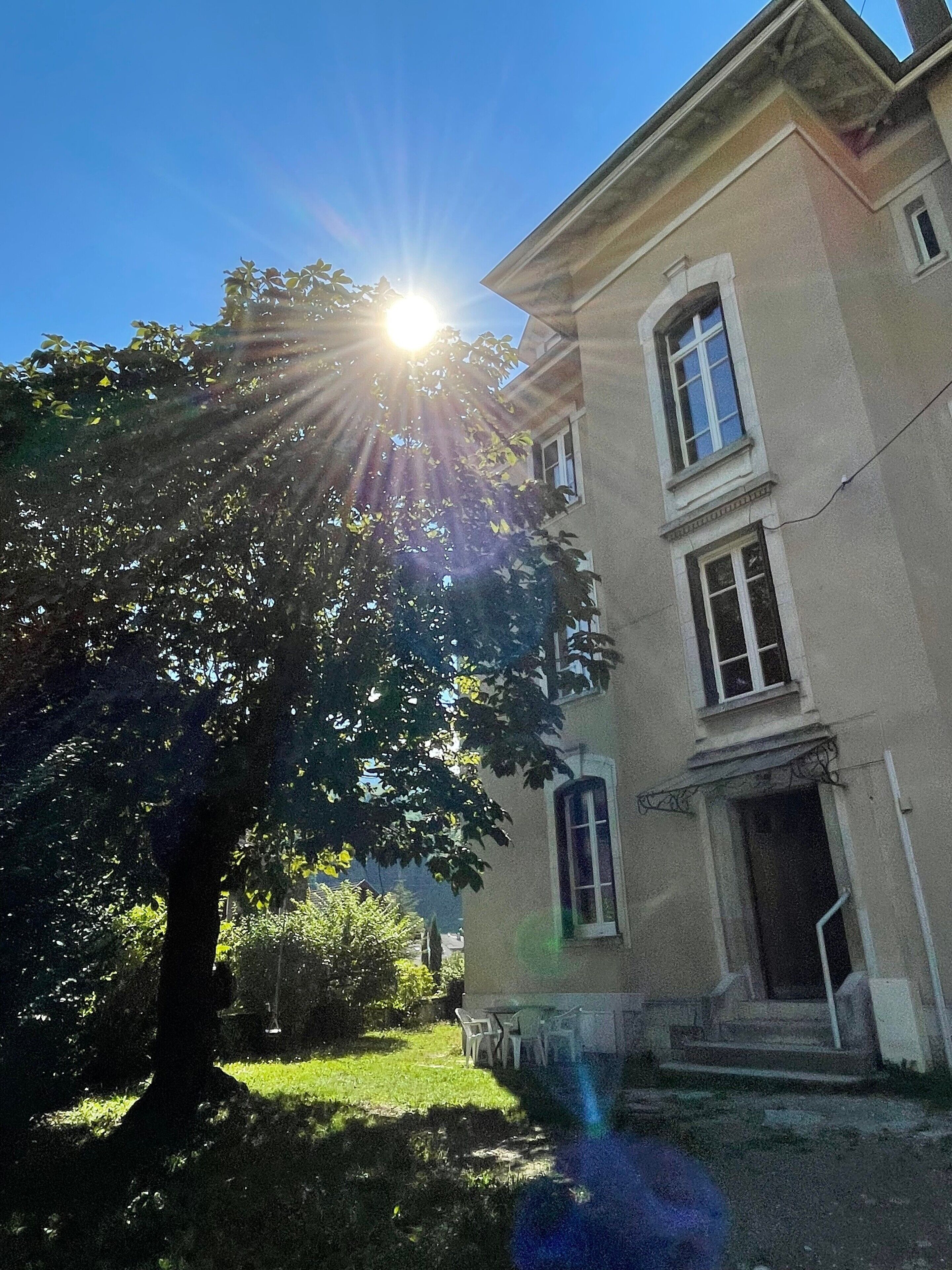Un bâtiment devant lequel se trouve un grand arbre, un ciel dégagé et la lumière du soleil qui filtre à travers les feuilles.