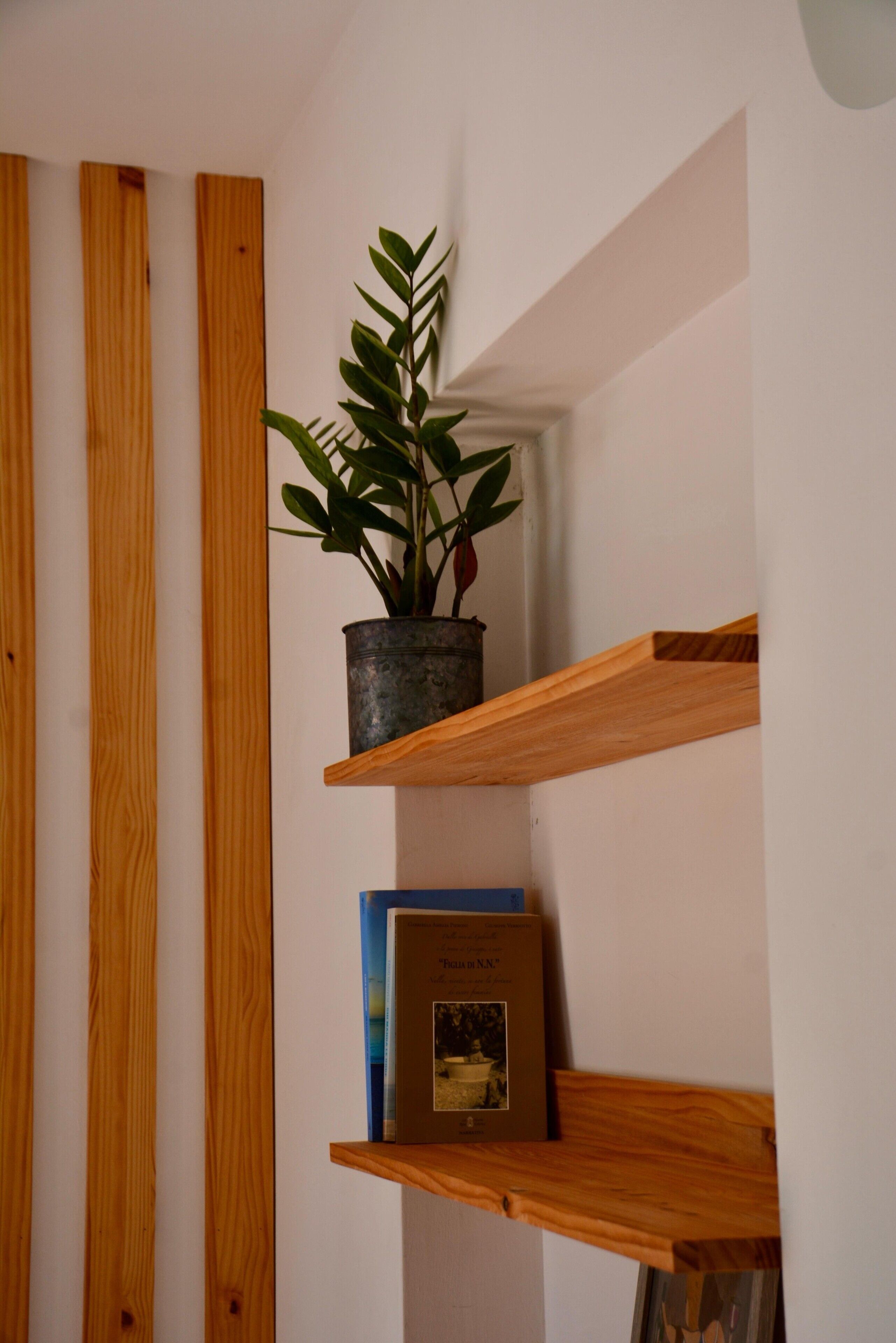 A wooden shelf with a potted plant and a framed picture.