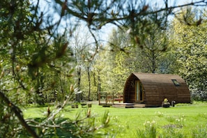 Eine Holzhütte mit Veranda, umgeben von einer Wiese und Bäumen.