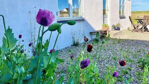 Un edificio blanco con ventanas grandes, un patio de grava y amapolas en primer plano.