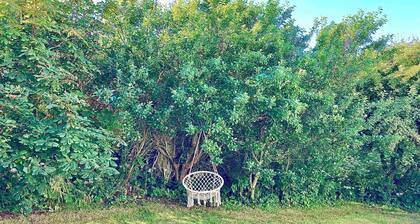 Lovely summer house 450 meters from the sea