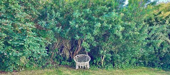 Lovely summer house 450 meters from the.