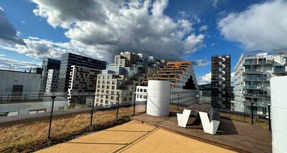 Central Luxurious Apartment Barcode Oslo
