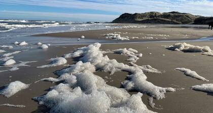 Unique location on a large sunny natural plot