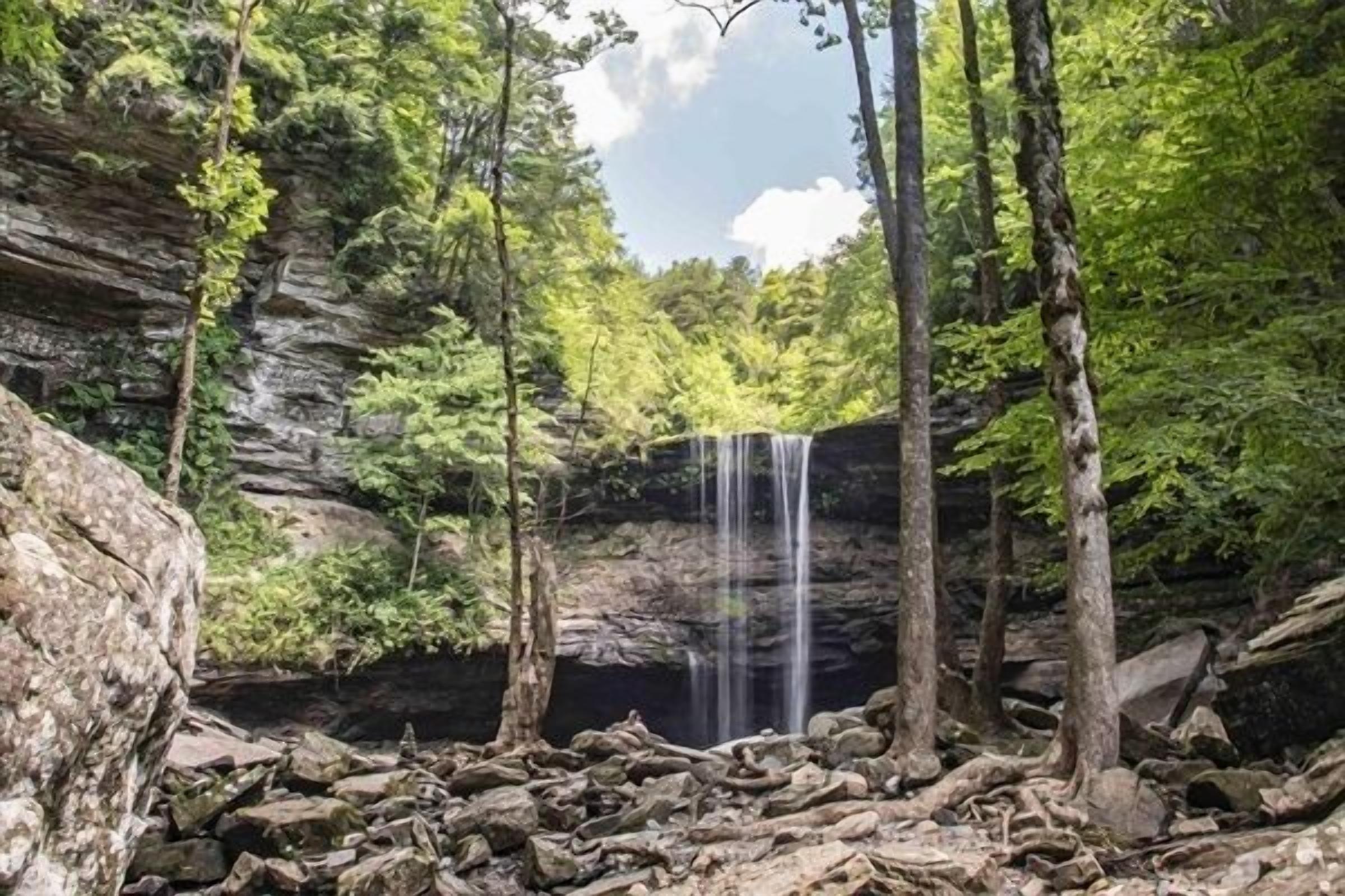 Una cascada natural envoltada de bosc dens i un terreny rocosos.