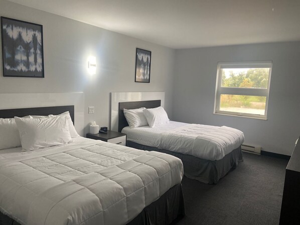 Habitación clásica, 2 camas Queen size, vista al jardín | Tabla de planchar con plancha y wifi gratis