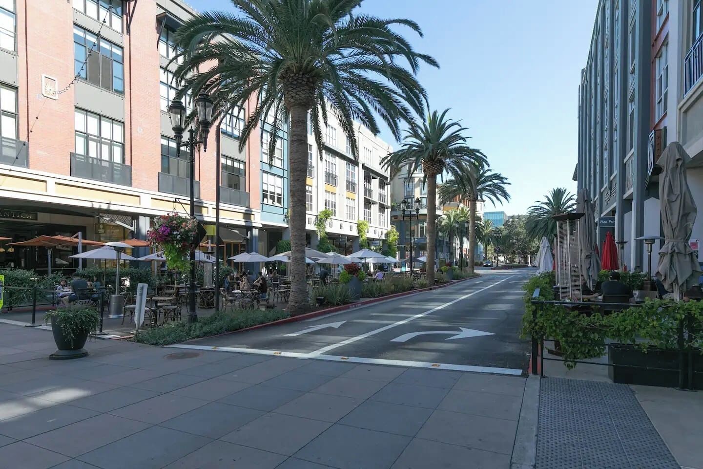 Calle bordeada de palmeras y con mesas al aire libre en los cafés, con edificios a ambos lados.