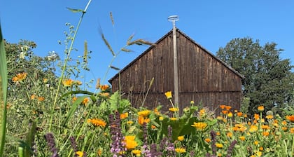 Panoramazimmer mit Doppelbett
