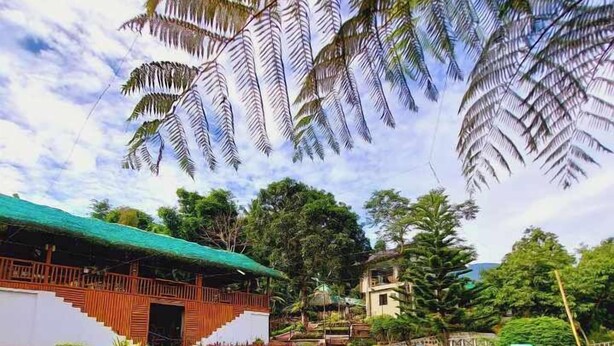 A pool with clear water, surrounded by tropical plants and a wooden structure with a green roof. - Samkara Restaurant and Garden Resort (Lucban)