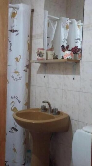 Shower, bidet, towels, soap