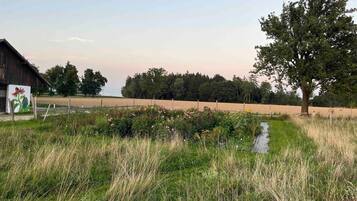 Paisagem rural com um celeiro, uma árvore e um campo gramado.